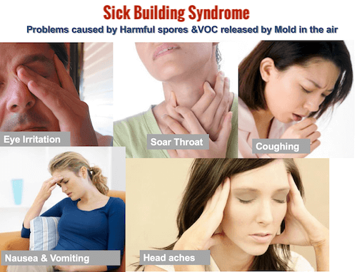sick building syndrom, can be prevented with clean cooling coils